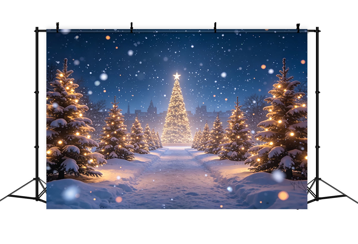 Christmas Tree Backdrop Snowy Forest Light Path Christmas Photo Backdrops ZTT69-15