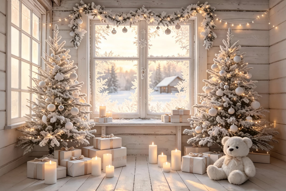 Christmas Cabin Backdrop White Frosted Window Room Photo Backdrop Christmas ZTT69-20