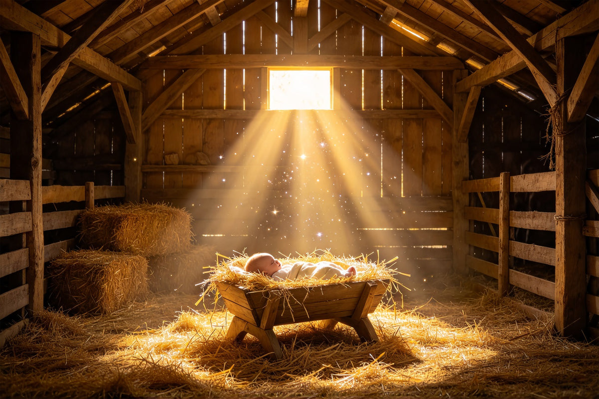 Nativity Scene Backdrop Golden Manger Baby Glow Nativity Backdrop ZTT69-58