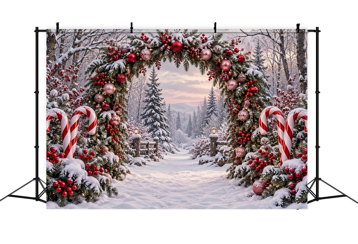 Backdrop Christmas Snowy Forest Candy Cane Arch Xmas Backdrop ZTT69-63
