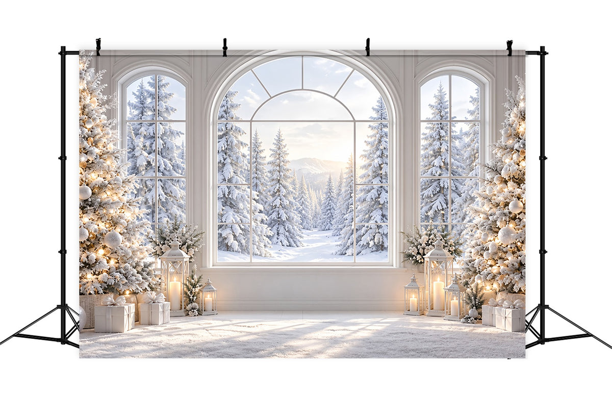 Christmas Window Backdrops Elegant Snowy Window View Christmas Window Backdrop ZTT69-76