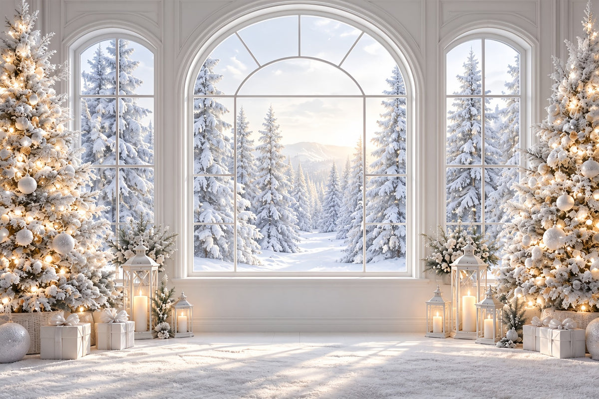 Christmas Window Backdrops Elegant Snowy Window View Christmas Window Backdrop ZTT69-76