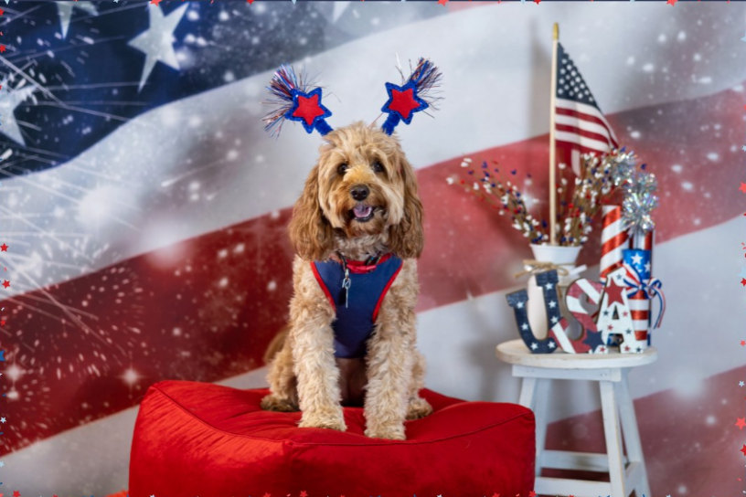 Bokeh Independence Day American Flag Photo Backdrop SH624