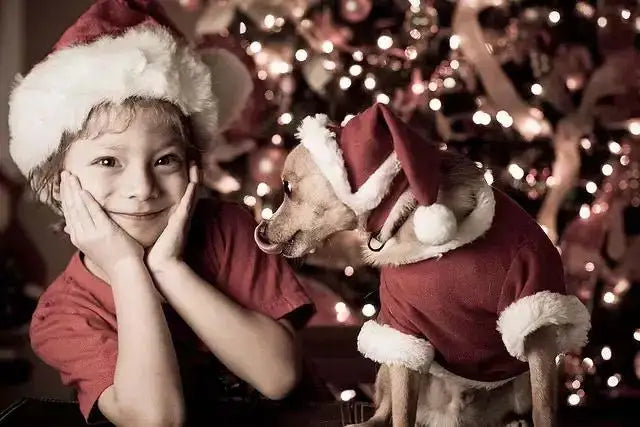 LED String Lights Christmas Room Decoration Light Colored Lighting Battery Box BP1692