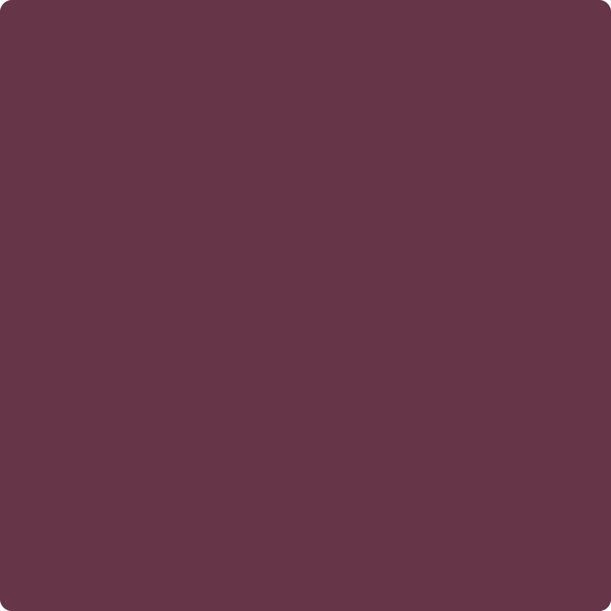 Darker Burgandy  Solid Color Photography Backdrop for Studio