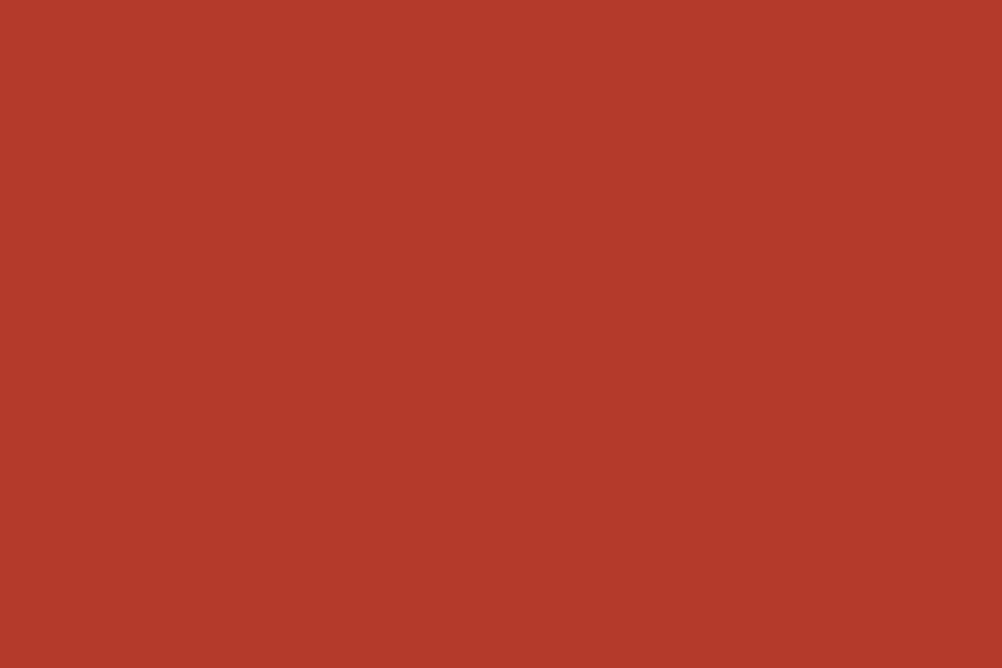 Red Solid Color Portrait Backdrop for Photo Booth SC57
