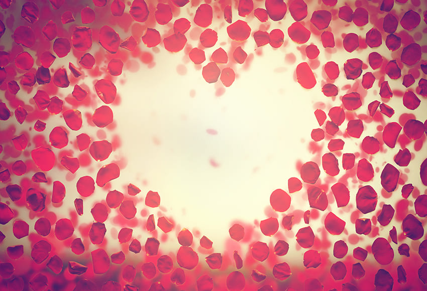 Flower Petals Love Heart Valentine Backdrop