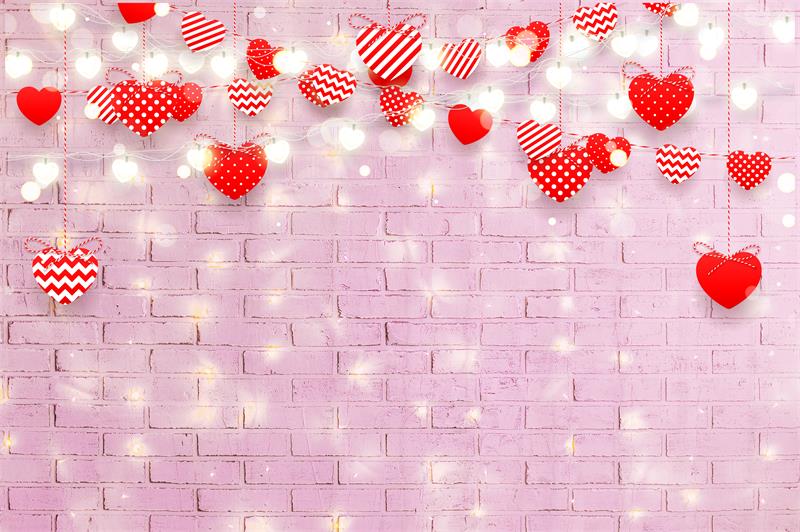 Pink Brick Hearts Valentine Backdrops for Photo Shoot D692