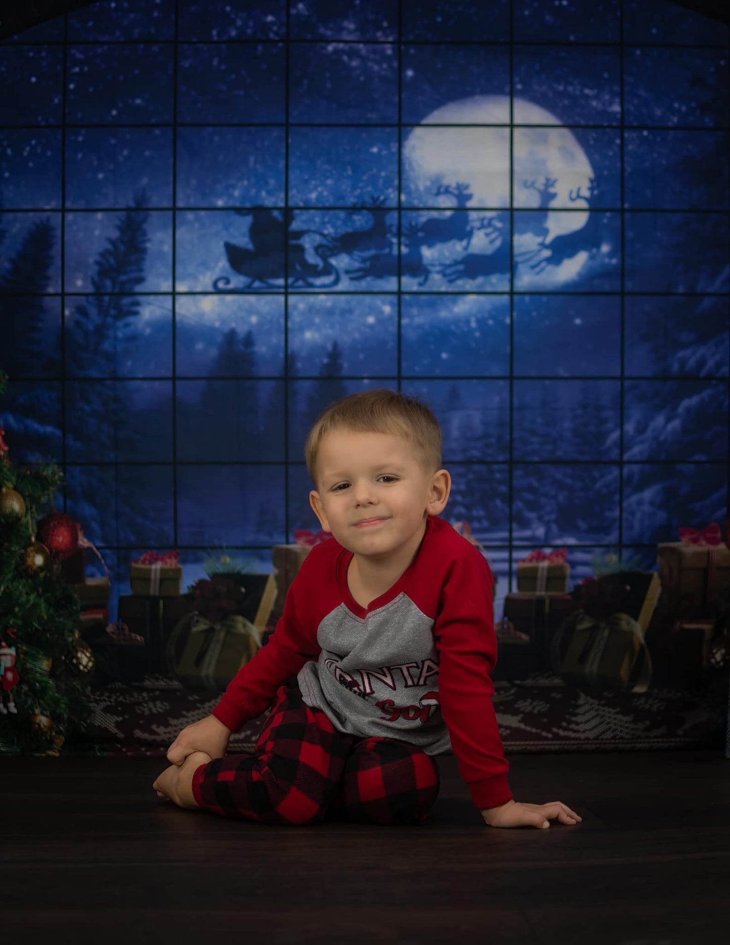 Christmas Tree Window Gifts Photography Backdrop D822
