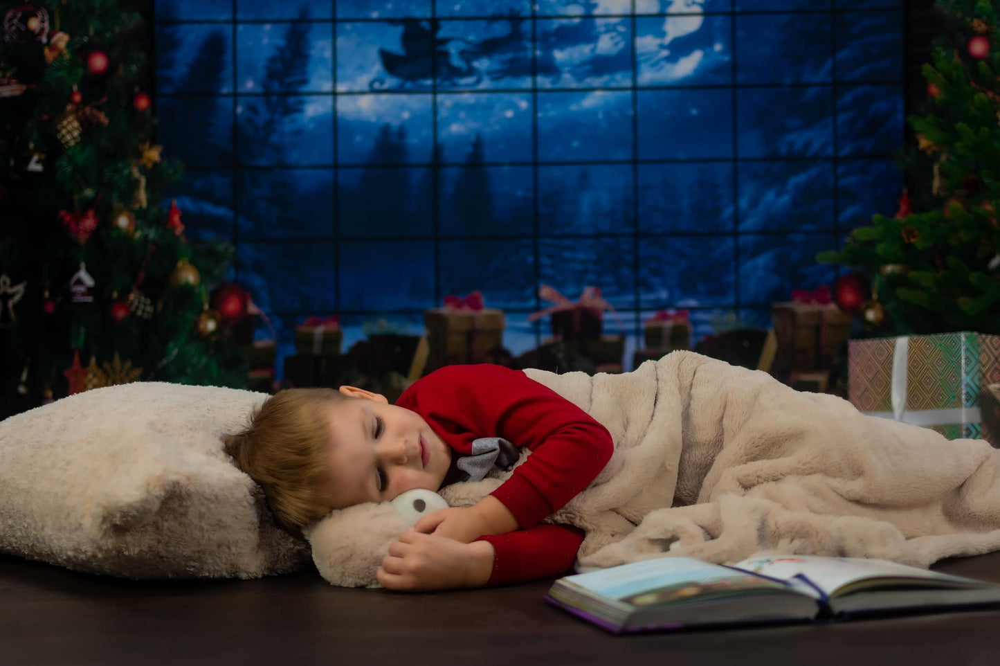 Christmas Tree Window Gifts Photography Backdrop D822