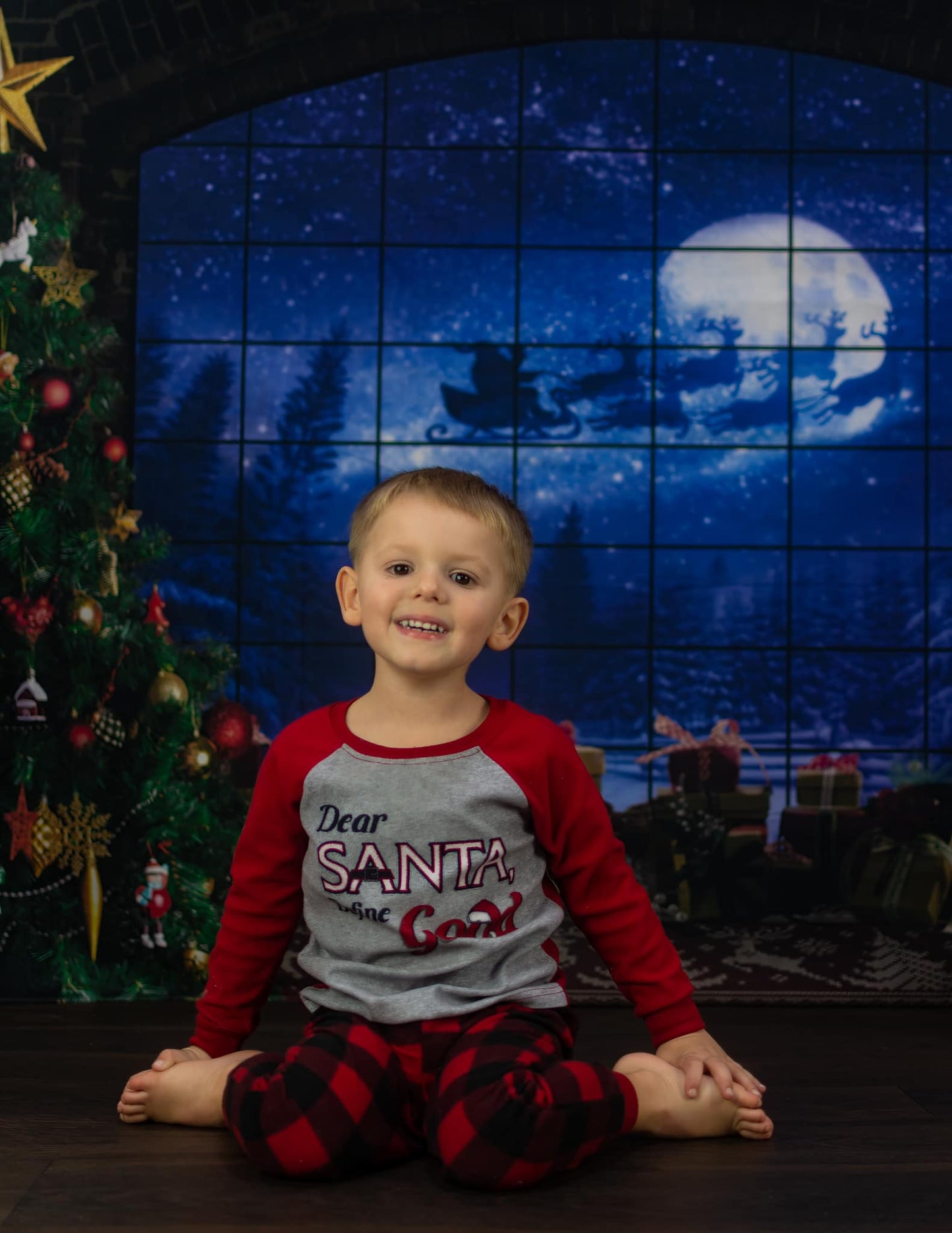 Christmas Tree Window Gifts Photography Backdrop D822