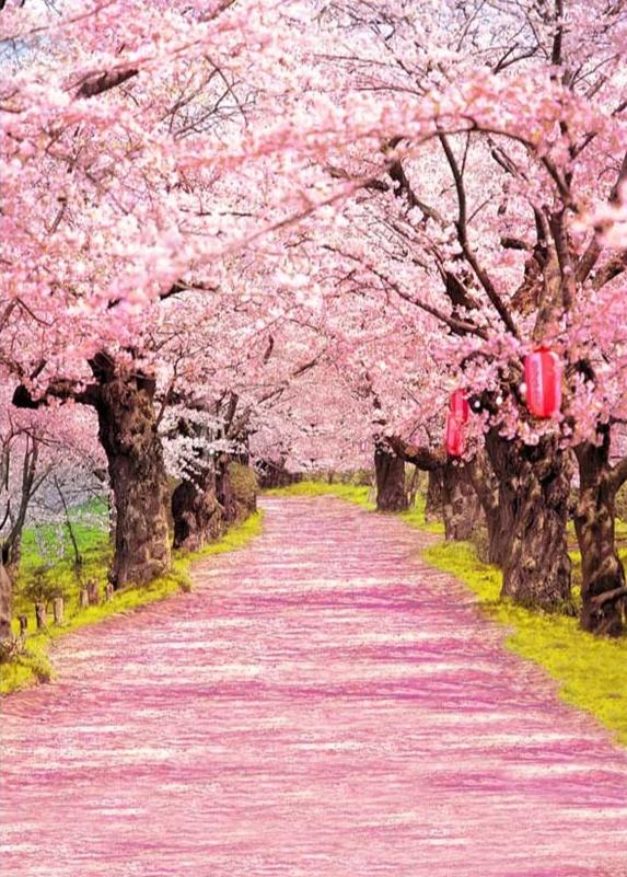 Pink Flowers Road Decorations Photo Booth Backdrop F-010