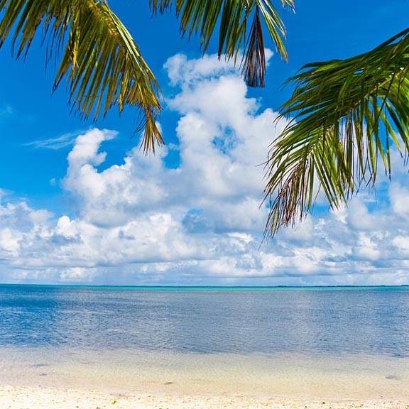 Beach Blue Ocean Sky Photography Backdrop