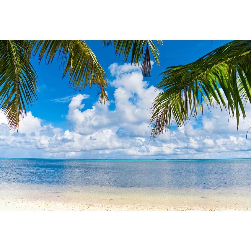 Beach Blue Ocean Sky Photography Backdrop