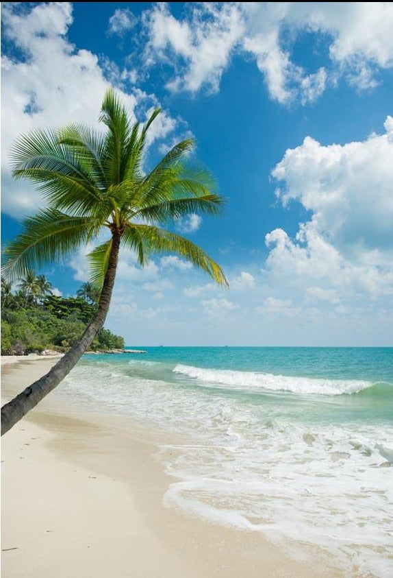 Summer Beach Blue Ocean Photography Backdrop G-615