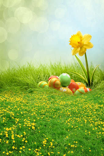 Easter Decorations Backdorps Eggs Green Grass GE-058