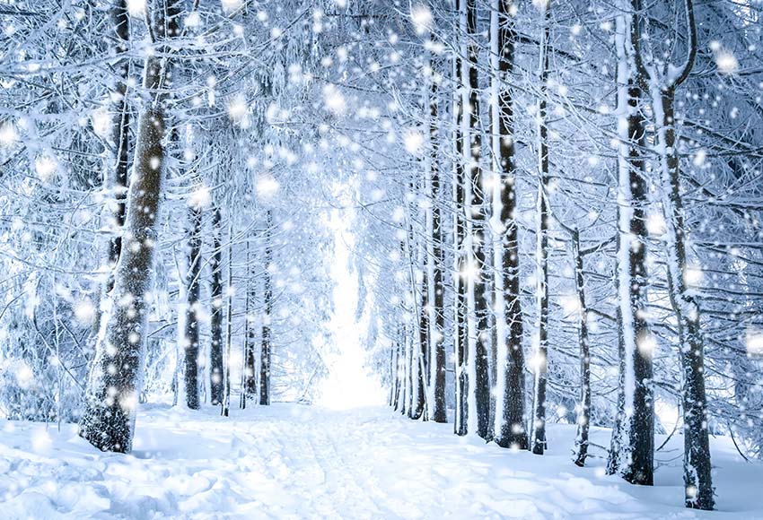 Beautiful White Forest Snow Scene Christmas Backdrops GX-1070