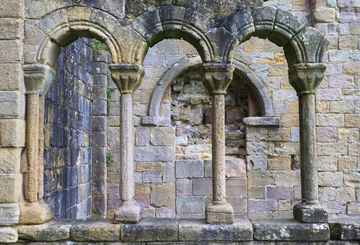 Mystical Stone Arch Backdrop for Photo Booths HJ03186