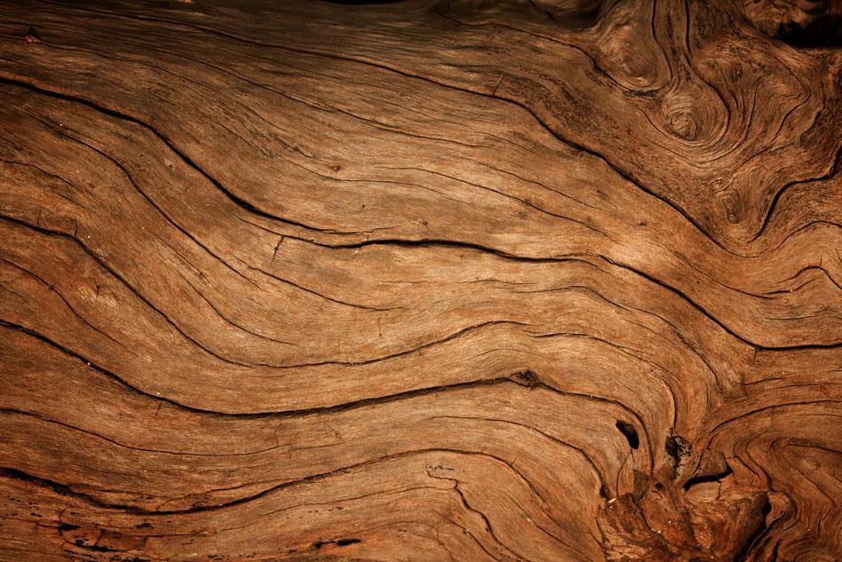 Brown Vintage Wood Backdrop for Children Photography HJ03924