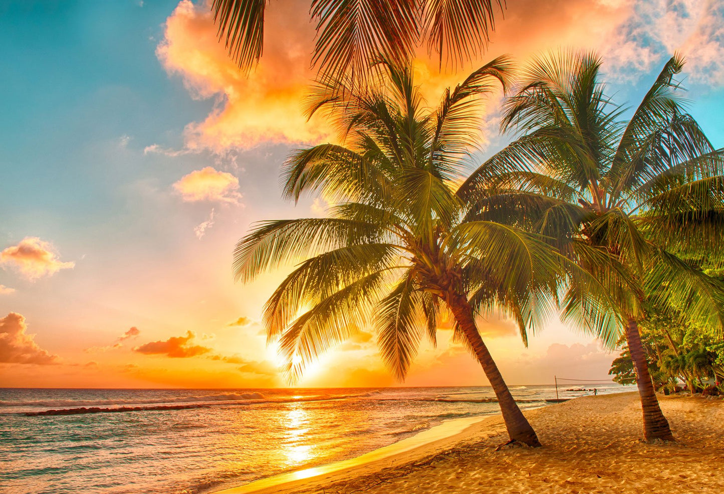 Summer Sunset Beach Sky Blue Ocean Photo Backdrop HJ05410