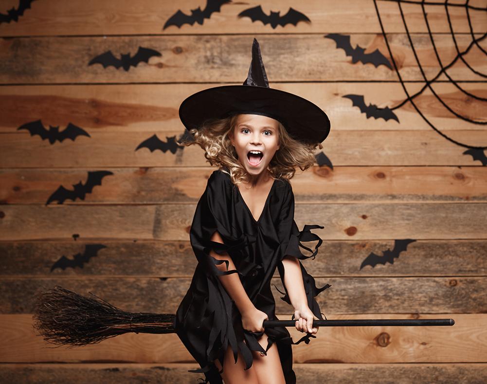 Spider Web Bat Wood Wall Halloween Backdrops for Photography DBD-H19147