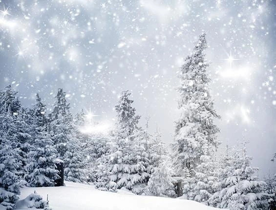 Winter Snow Forest Christmas Photography Backdrop KAT-16