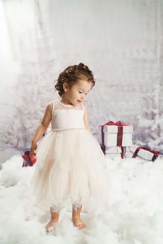 Christmas Tree Snow Gifts Photography Background KAT-38