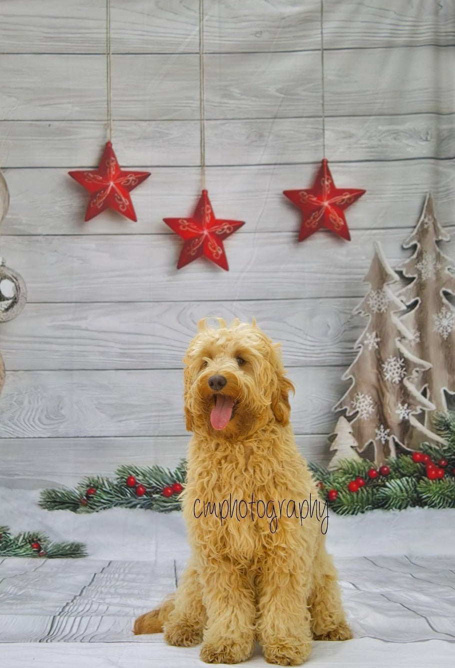 Christmas Decorations Wood Floor Photography Backdrop LV-866