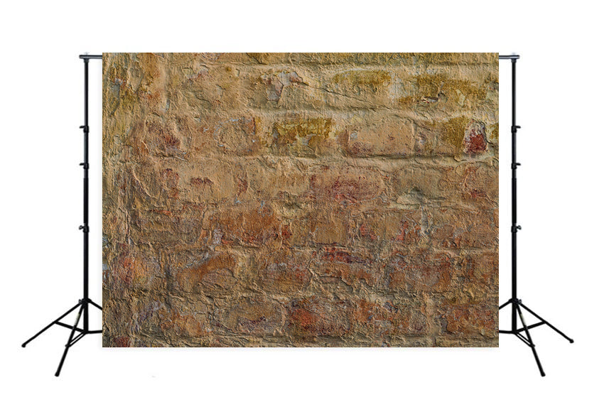 Grunge Brick Wall Backdrop for Photo Shoot M268