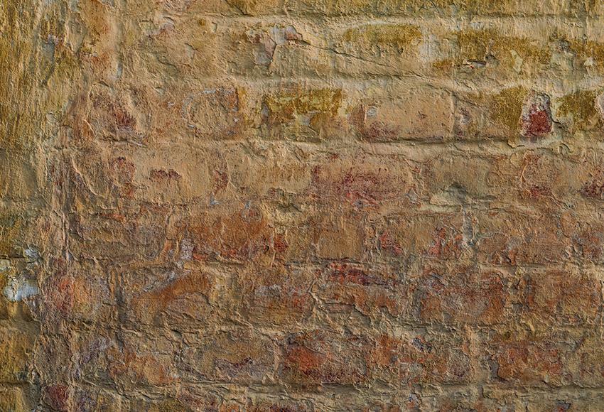 Grunge Brick Wall Backdrop for Photo Shoot M268