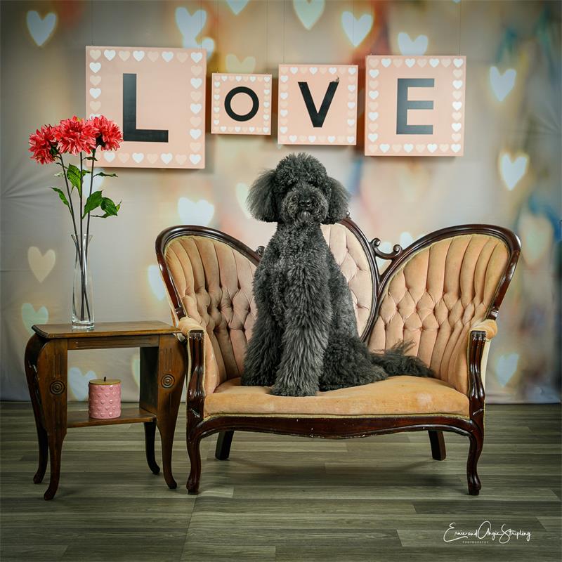 Pastel Heart Bokeh Photo Studio Backdrop MR-0046