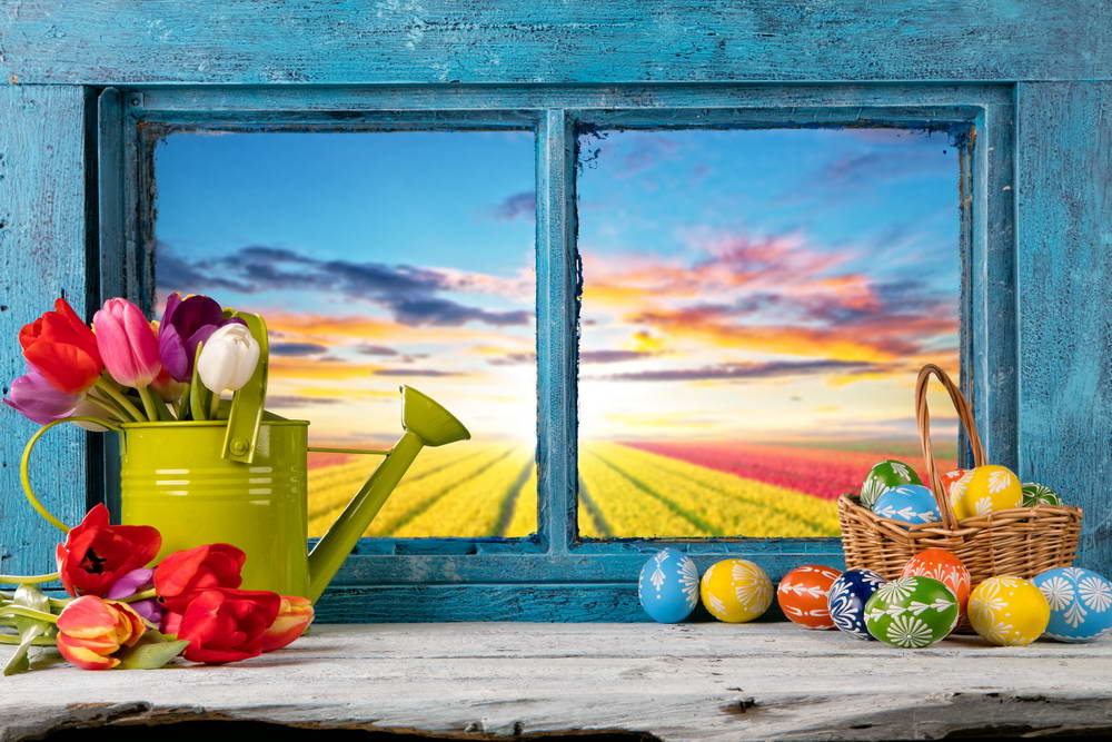 Easter Eggs Window Spring Flowers Backdrops for Studio MR-2226
