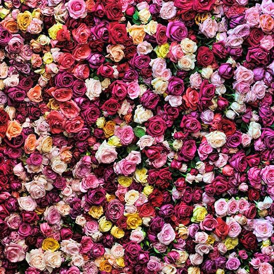 Pink and Purple Flowers Backdrop for Photo Studio