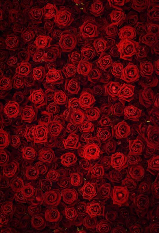 Flowers Background Red Backdrop S-3171