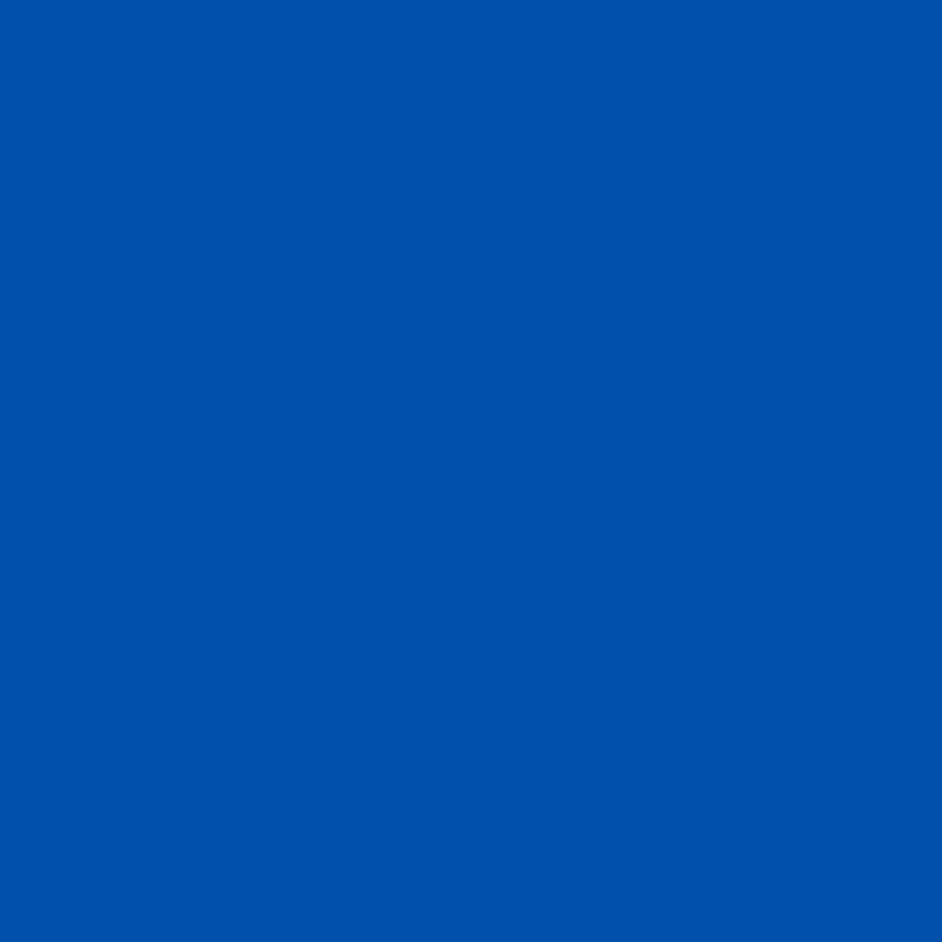Blue Solid Color Studio Photography Backdrop S11