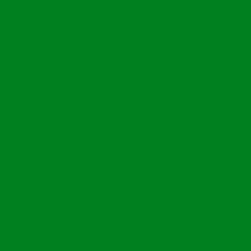 Dark Green Solid Color Backdrop for Photo Booth S3