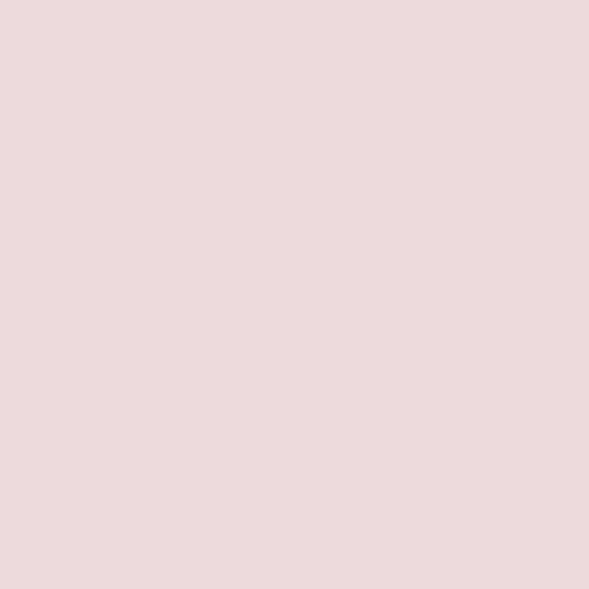 Peach Light Solid Color Photo Studio Backdrop S8