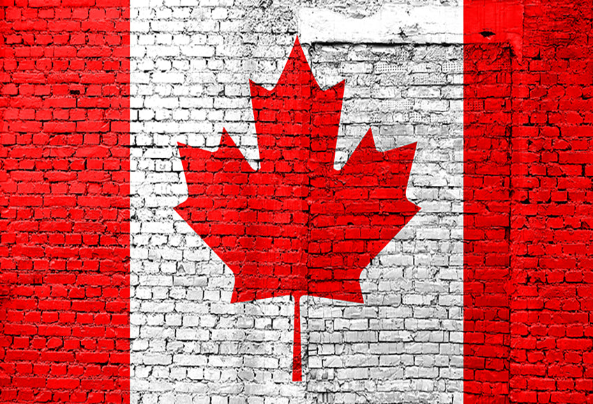 Canada Day 1st July Brick Backdrop for Photography