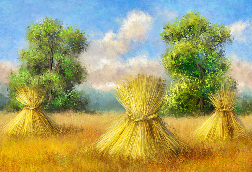 Fine Art Golden Wheat Field Photo Shoot Backdrop