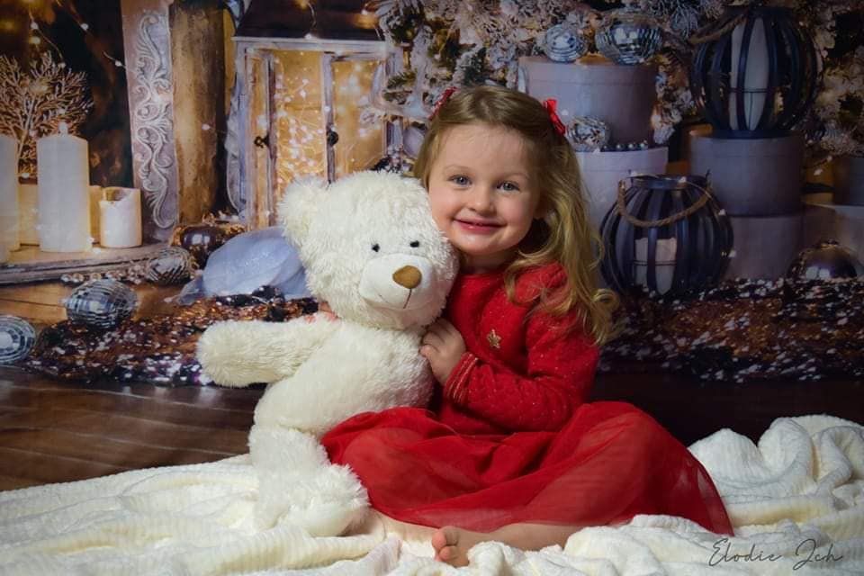 Christmas Backdrops for Photography Christmas Tree Photography Backdrops SH1205