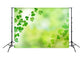 Green Happy St. Patrick's Day Photo Booth Backdrop SH163
