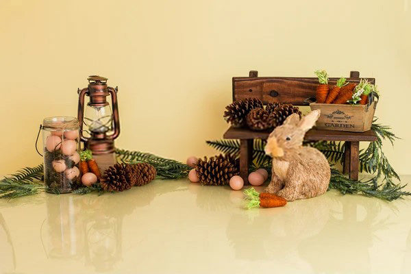 Easter Eggs Rabbit Photo Studio Backdrop SH599