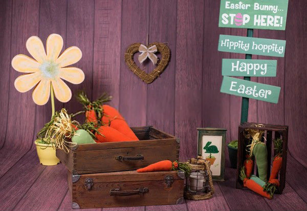 Happy Easter Bunnny Backdfrop for Photography