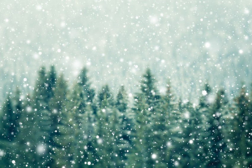 Christmas Tree Forest Snow Winter Backdrop for Decorations