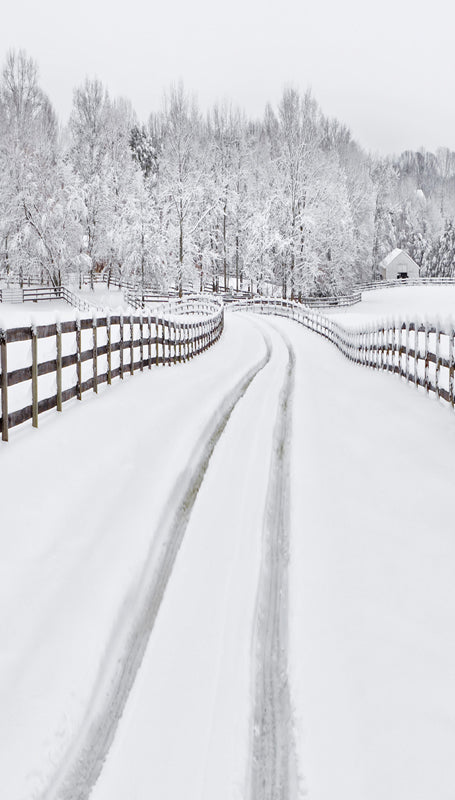 Winter Snow Road Forest Backdrop for Photo Booth ST-439