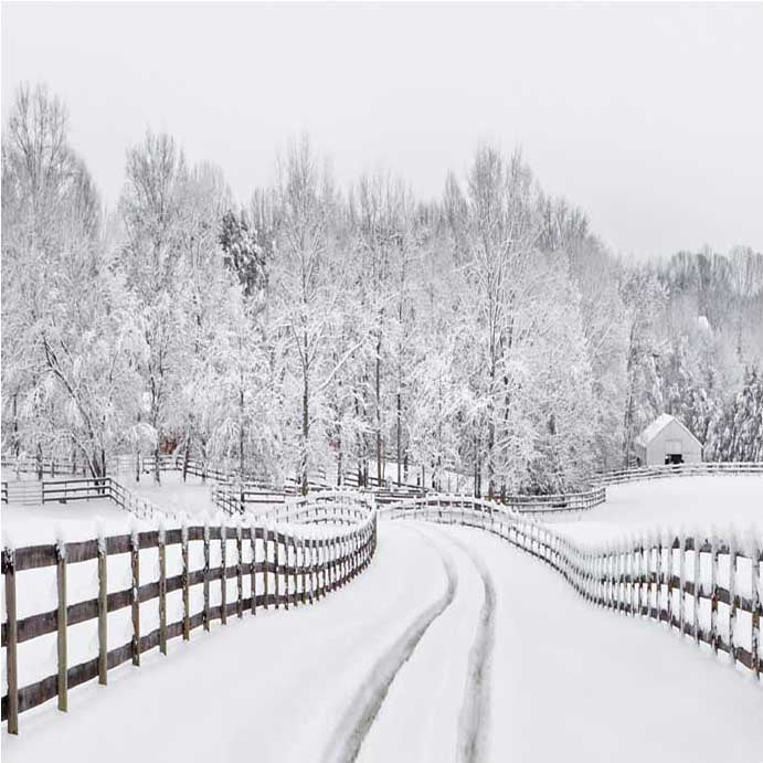 Winter Snow Road Forest Backdrop for Photo Booth ST-439