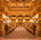 Golden Luxurious Palace Beauty and The Beast Scene Backdrop ZH-242