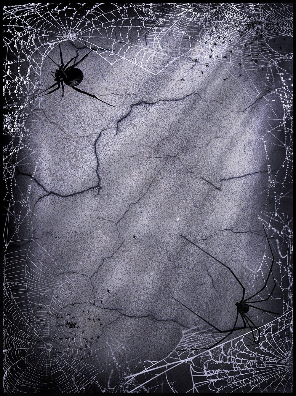 Happy Halloween Day Cracked Walls Spider Web  Backdrop DBD-P19065