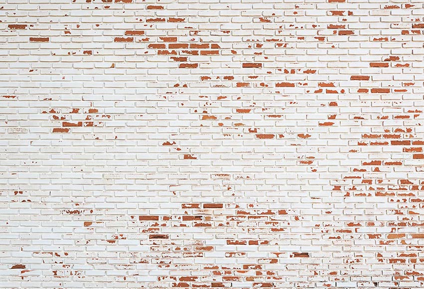 White Vintage Brick Wall Backdrop for Photo Studio LV-182 – Dbackdrop