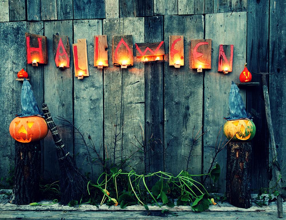 Halloween Pumpkin Wood Backdrop for Studio DBD-H19039